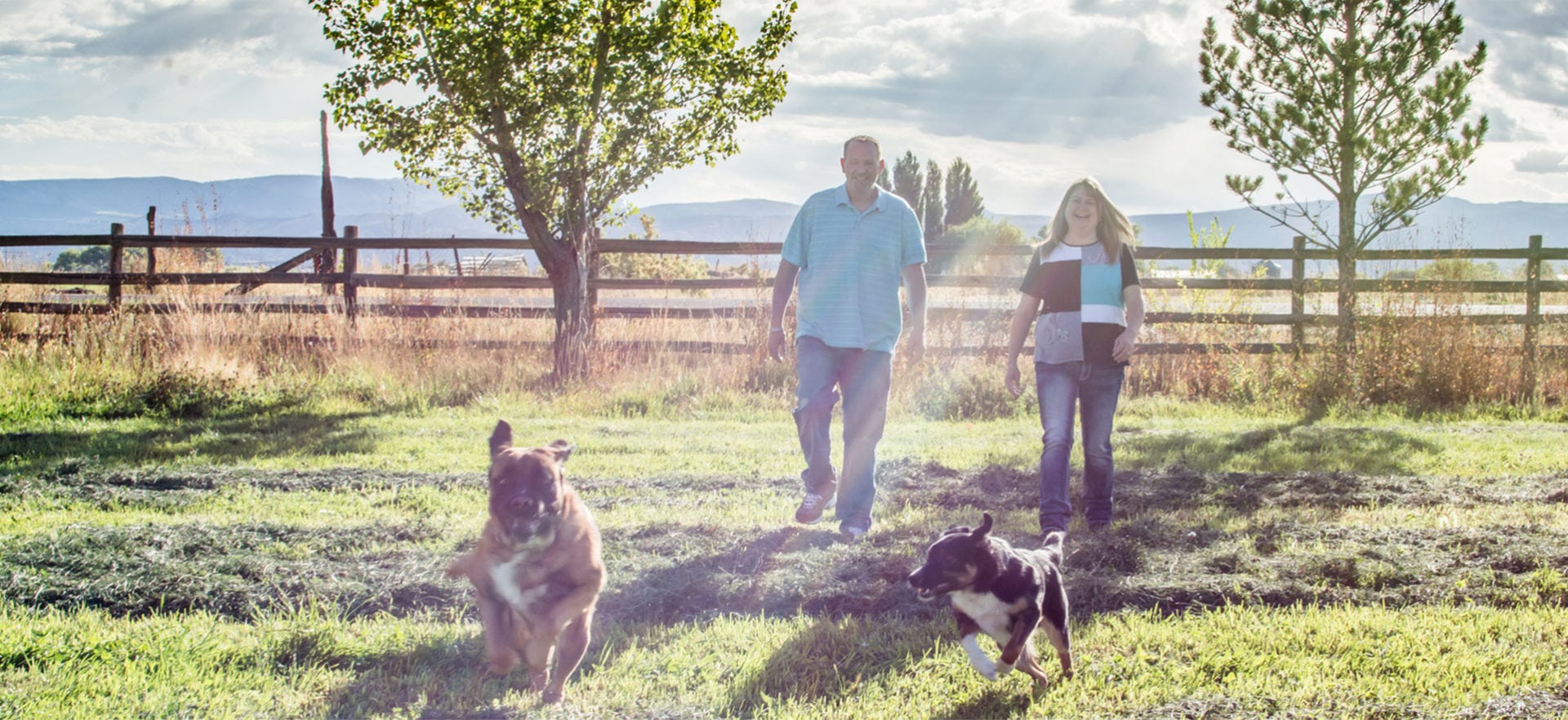 Peace Of Mind Dog Boarding